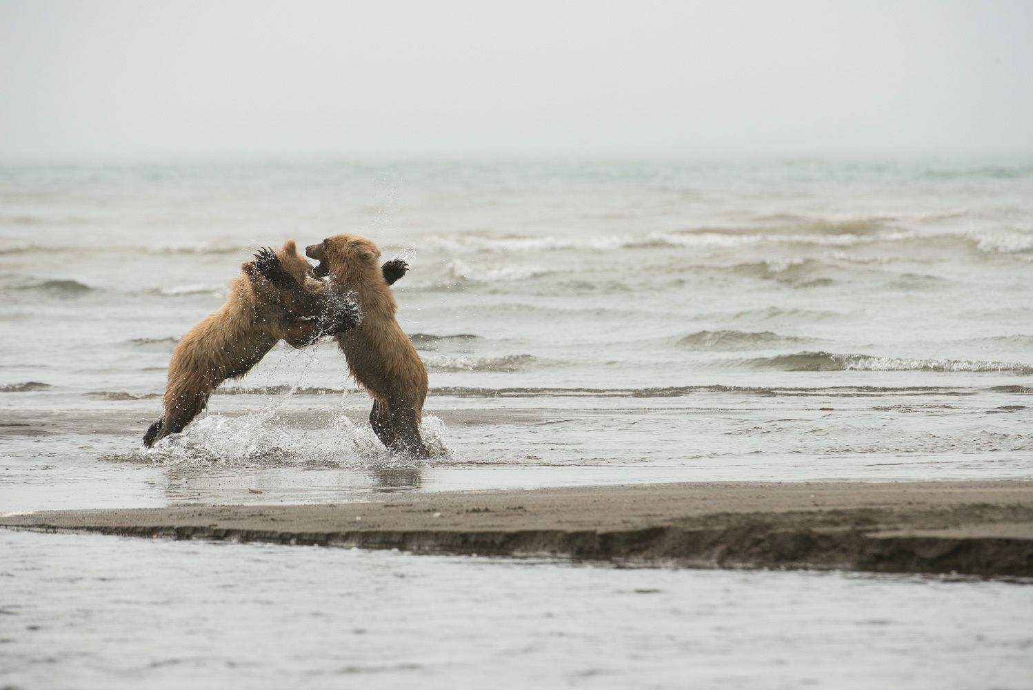 Not Exactly Dancing!