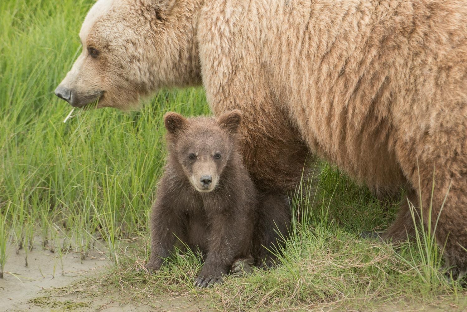 Sometimes I Feel Better Next to Mom!