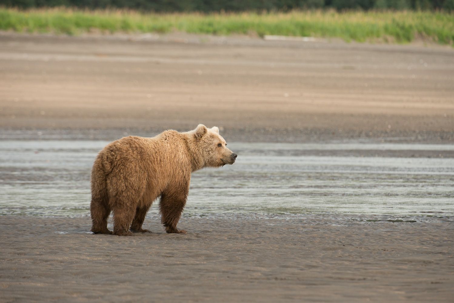 Whew, Finally Got a Break from the Cubs!