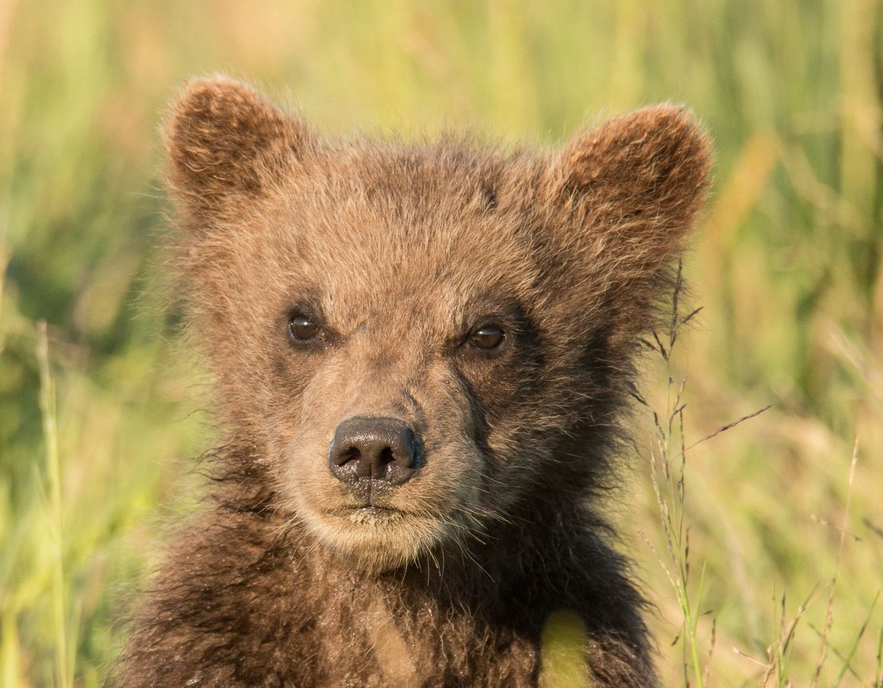 "It's a Big World Out Here!"