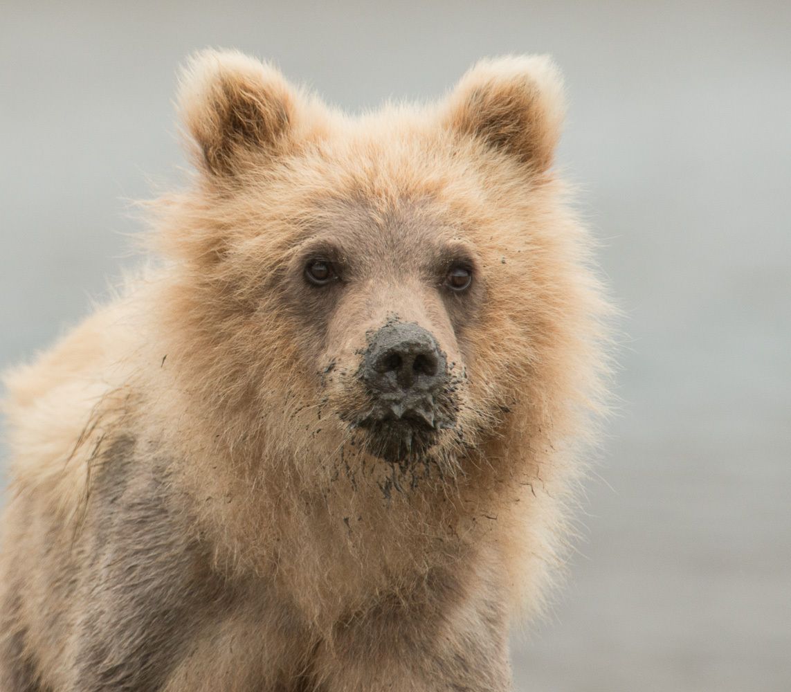 Mom Told Me to Wipe My Nose!