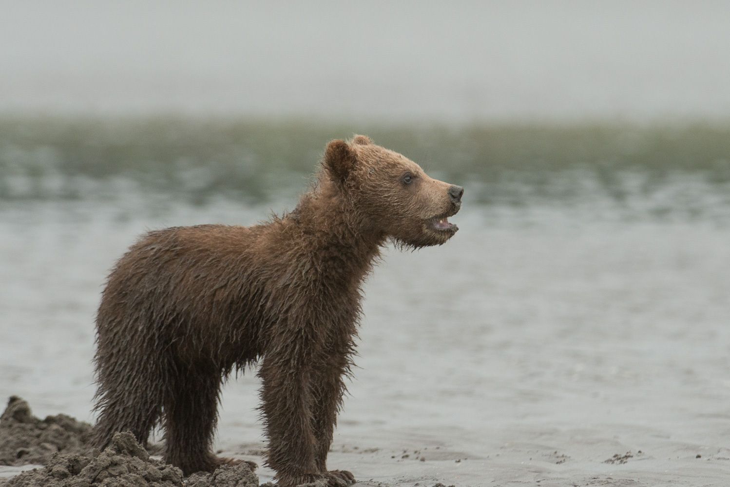 Mom, I Don't Need a Bath!