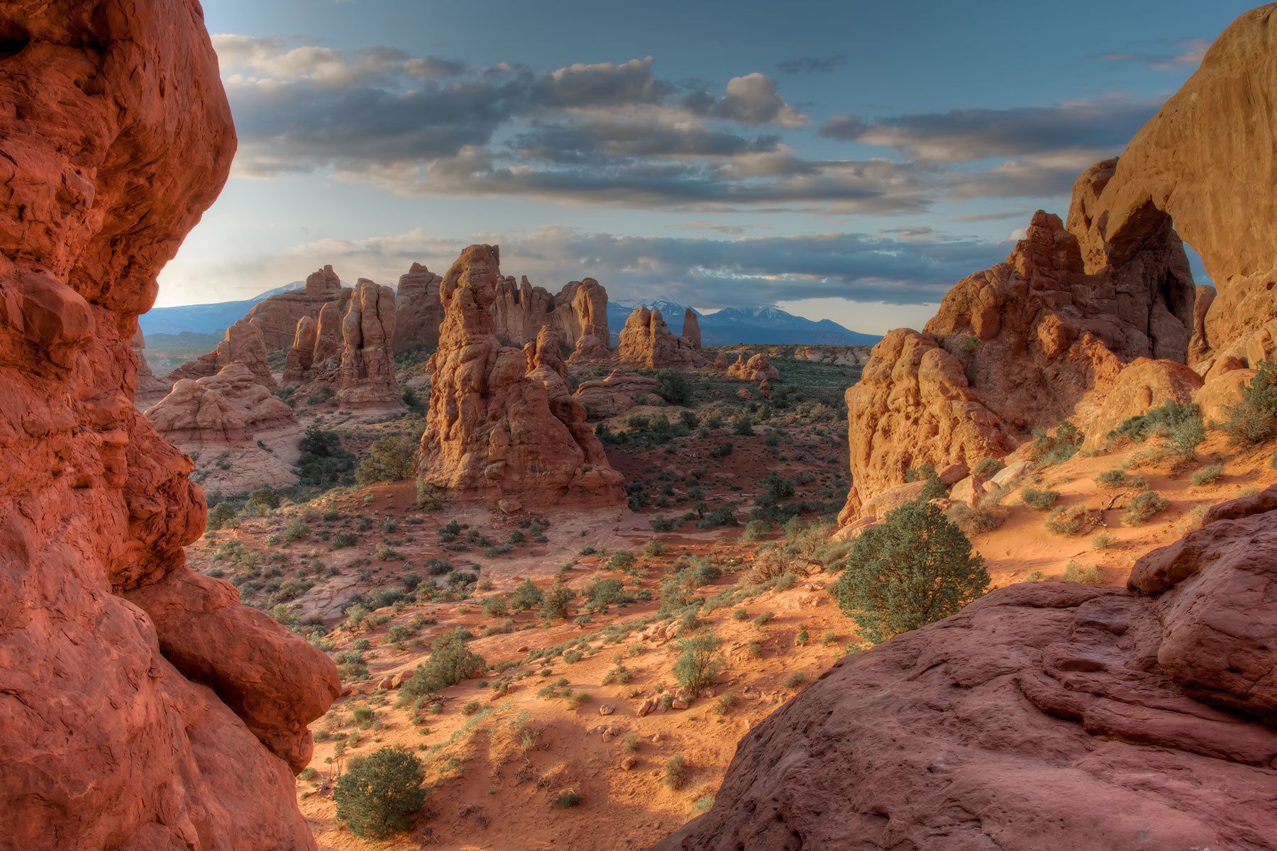 "The Land Before Time"