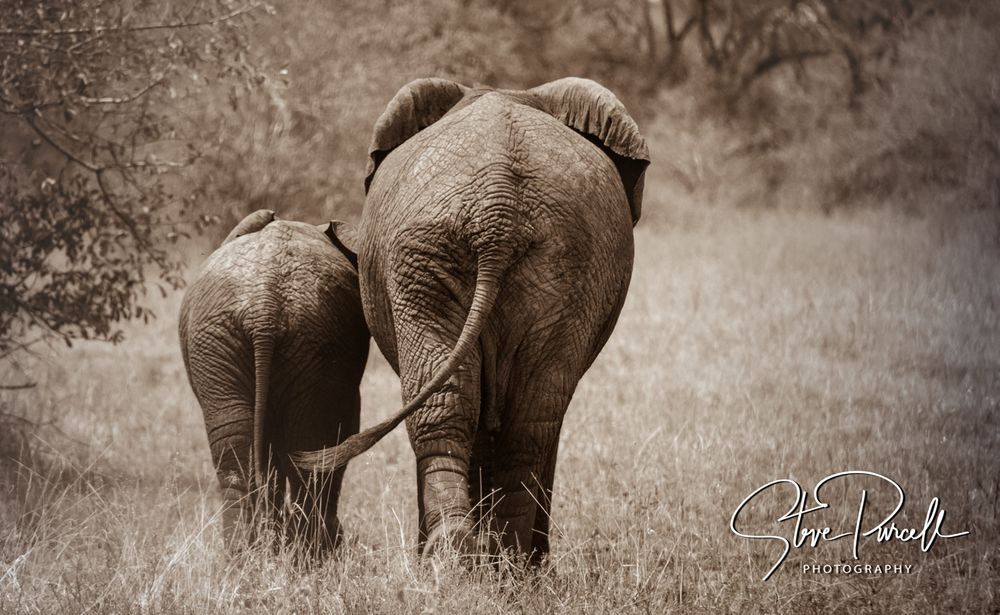 Africa 2014  2014-06-12  12-18-15  DSC_3053-Edit-Edit.jpg