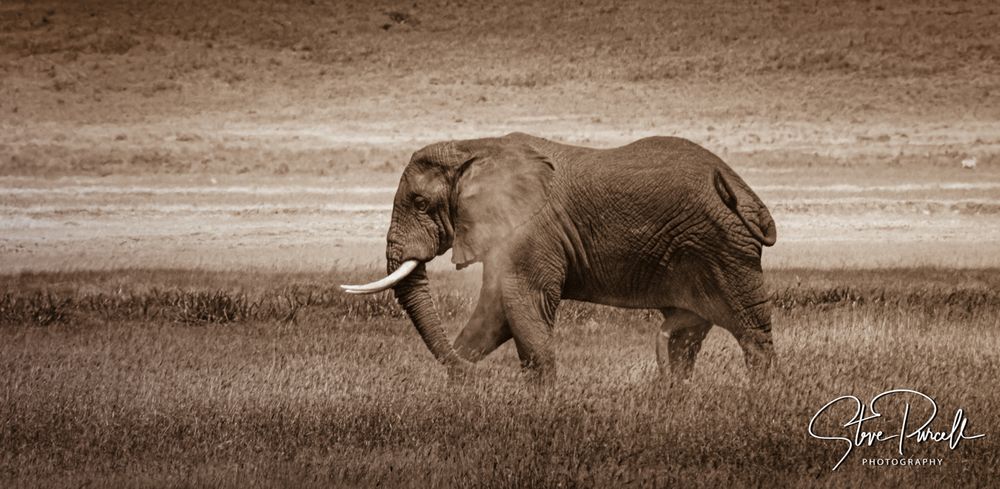 Africa 2014  2014-06-10  13-41-24  DSC_2548-Edit.jpg