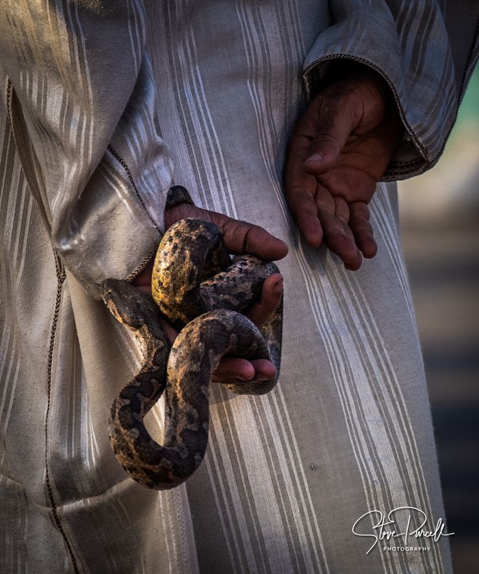 Morocco 2022 SLP -3283-Edit.jpg