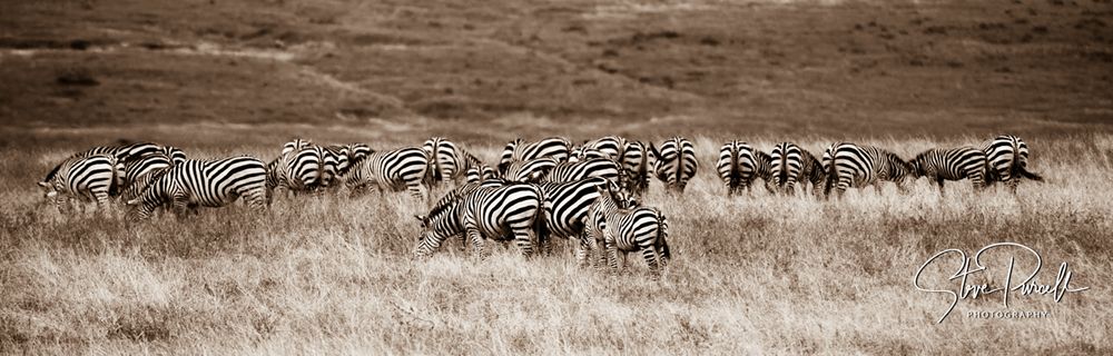 Africa 2014  2014-06-09  15-06-05  DSC_2542-Edit.jpg