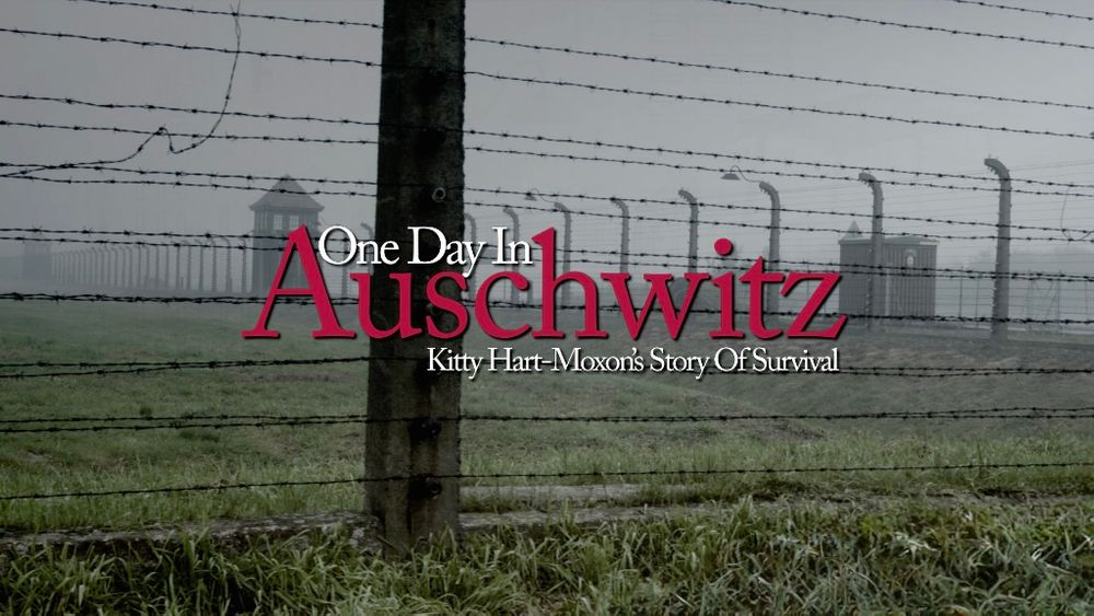 2014 Auschwitz    2   2015-01-30.jpeg