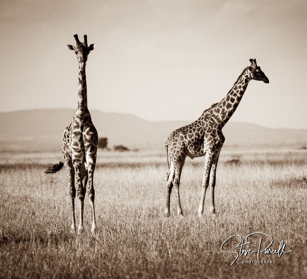 Africa 2014  2014-06-11  16-07-55  DSC_3109-Edit.jpg