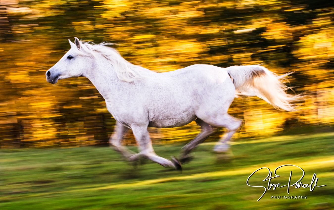 Maine Vermont-36822017-Edit.jpg