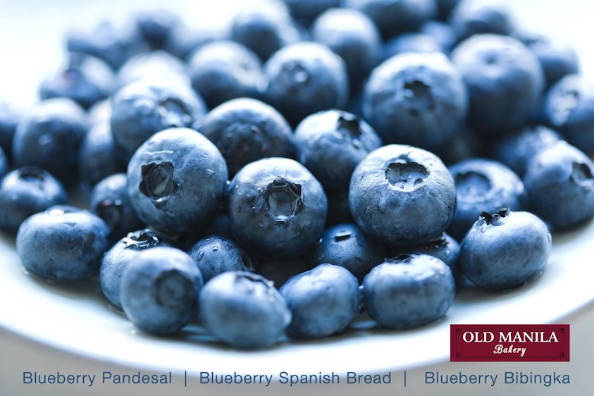 1blueberries___2a