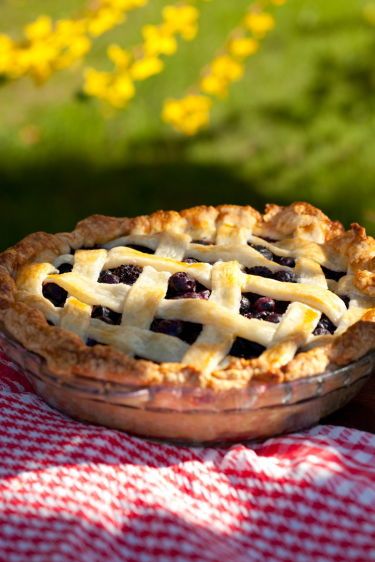 1blueberry_pie___7982