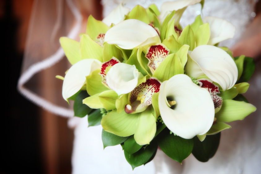 1michael___peggy___0358