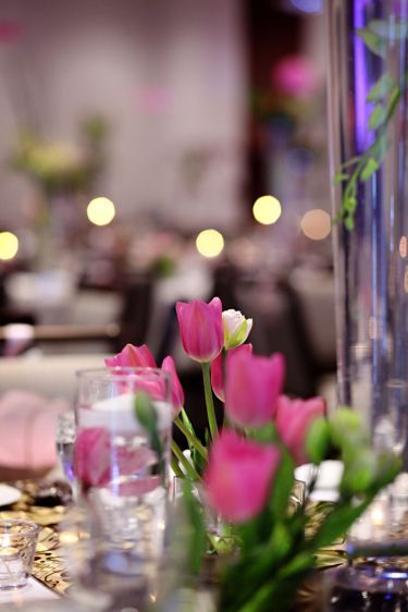 1elaine___dwight_wedding___0146