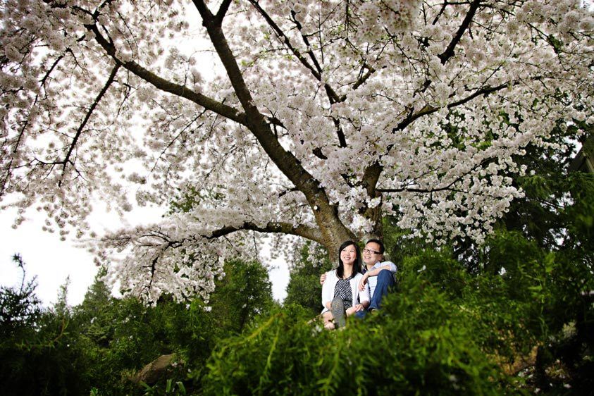 Vancouver Wedding Photographer