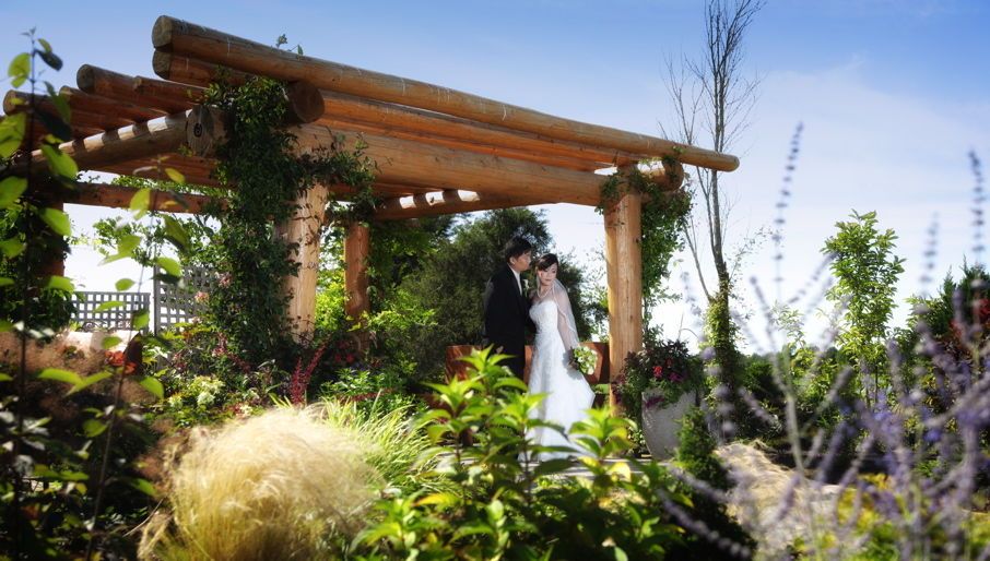 1michael___peggy___1173