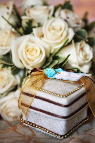 1dexter___gemma___8834