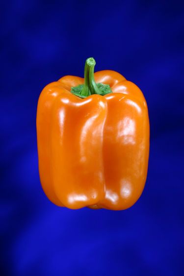 1photolife___orange_pepper
