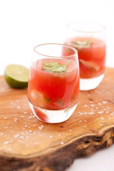 1watermelon_shooter___6732