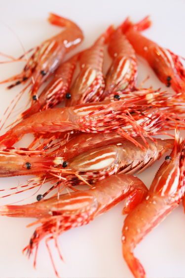 1bc_spot_prawns___8602