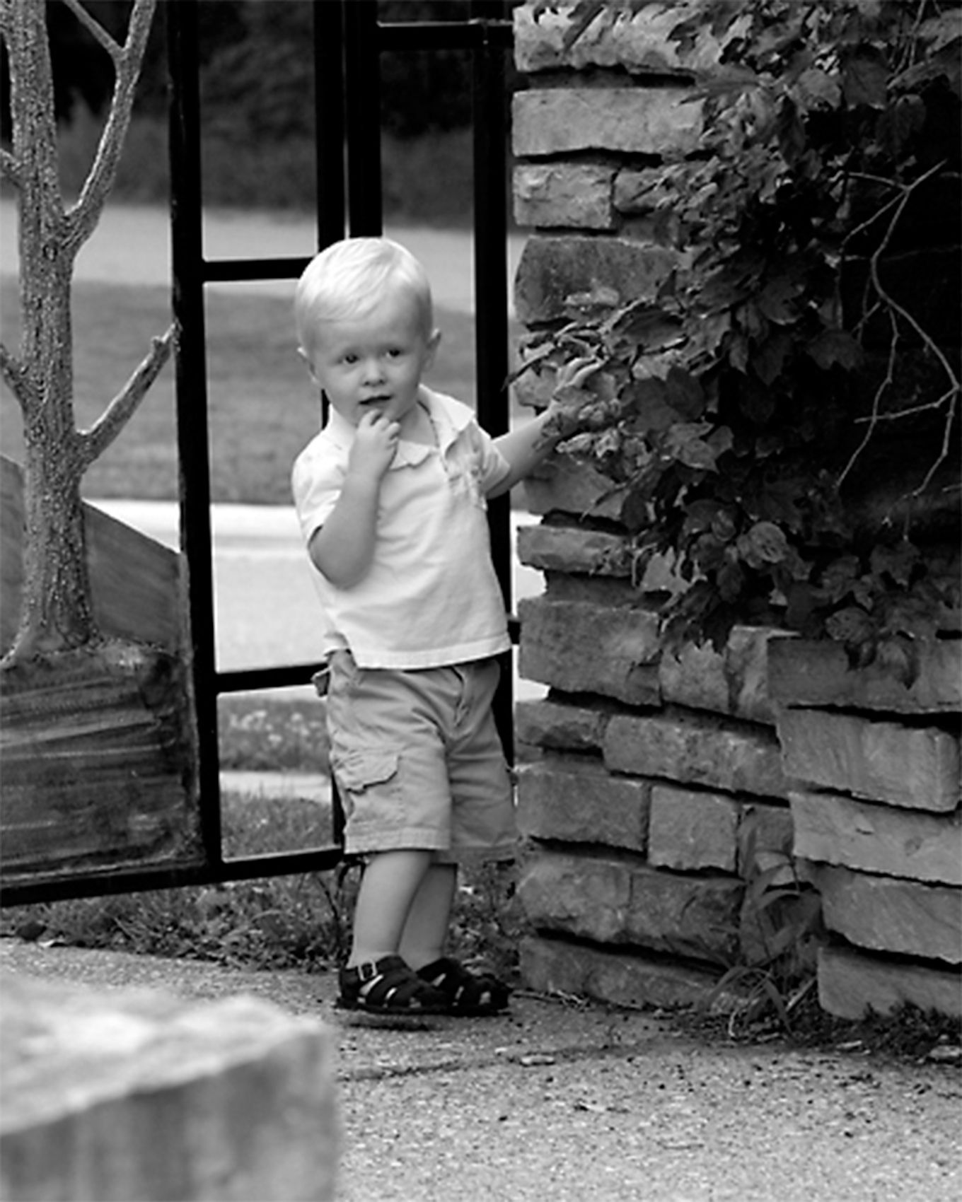 Braydon  at MatthaeiBotanical Gardens