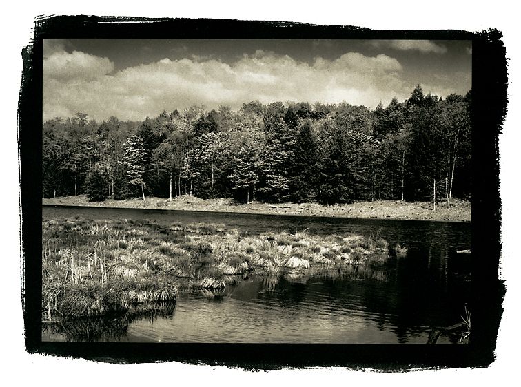 Westford Swamp, Westford, Vermont