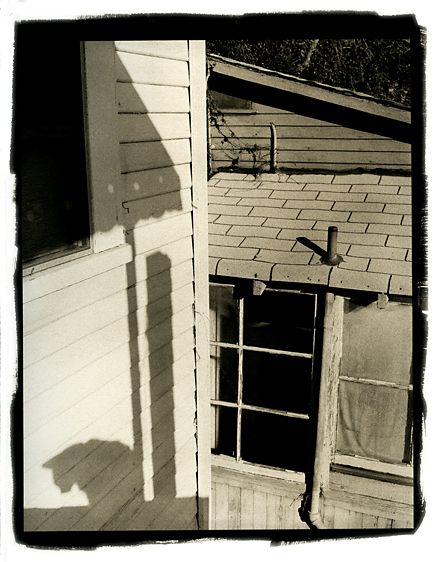 Shadow of a catHollywood CA 1982