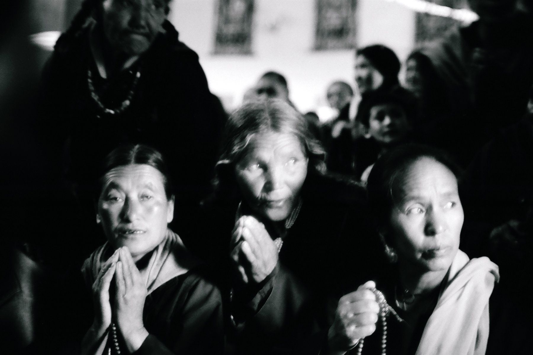 1the_head_lama_has_just_arrived