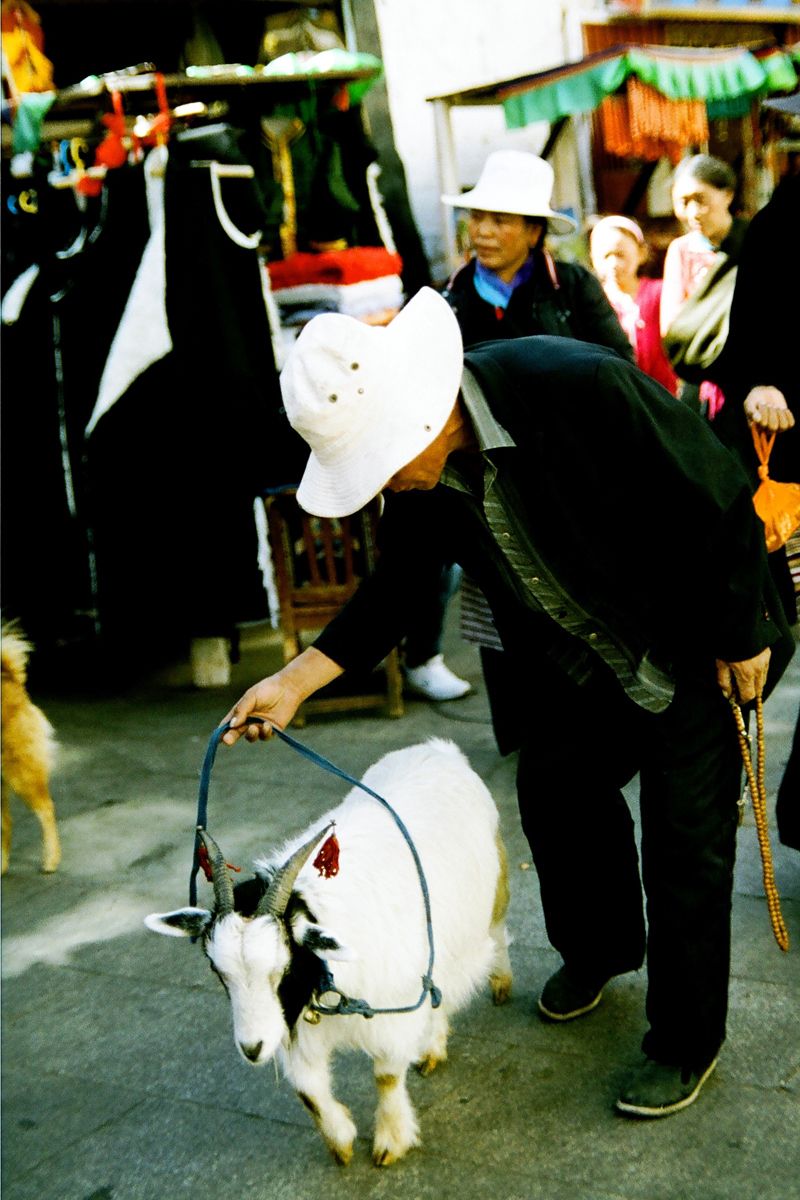 1tibetan_man_and_his_goat