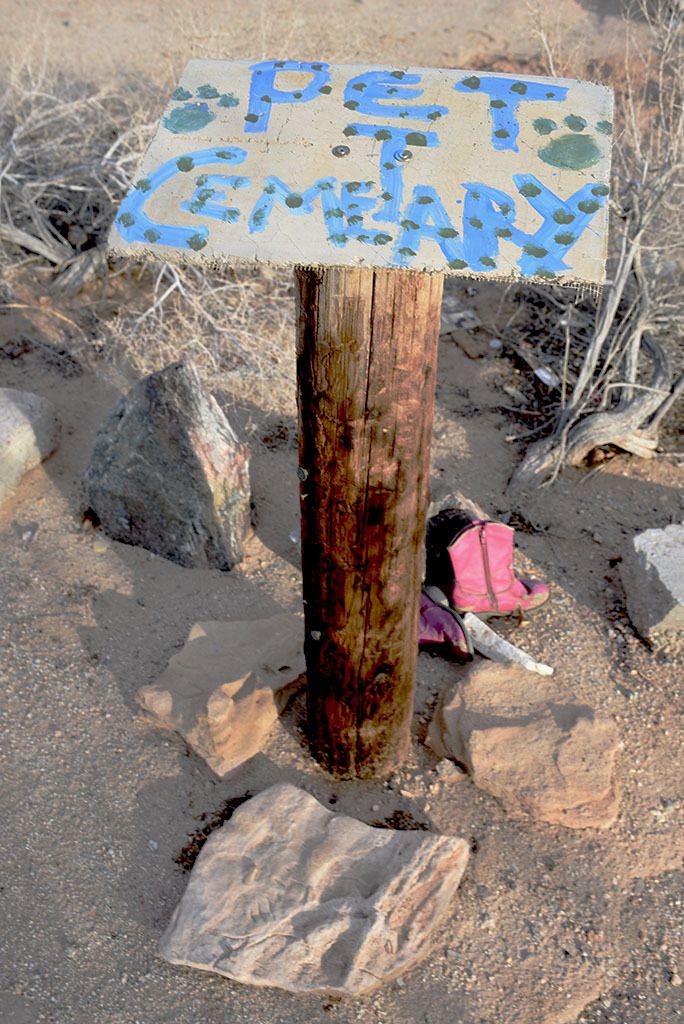 Pet Cemetary 2County Road