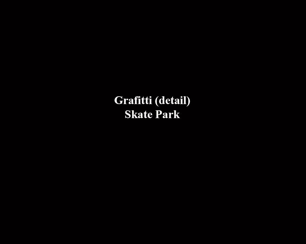 1grafittiskatepark_01