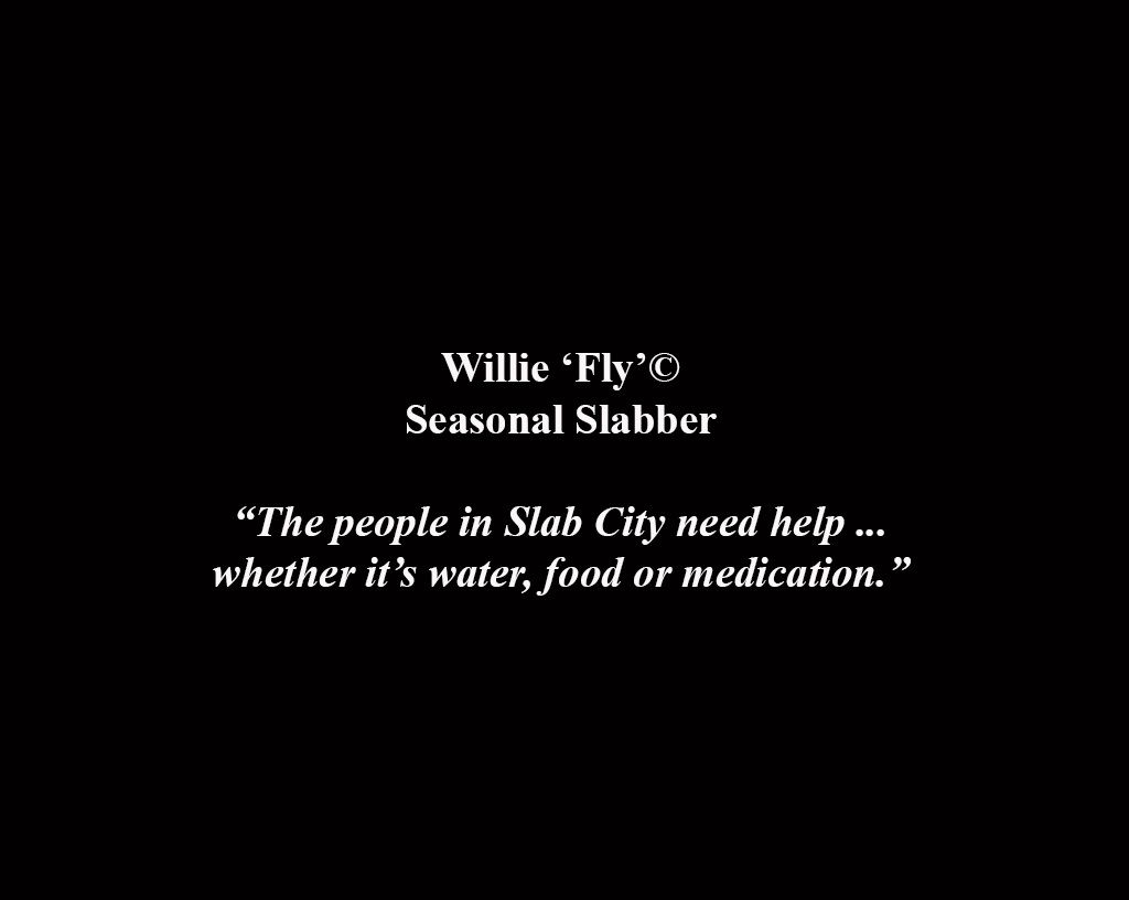 1r15_willieflycomment