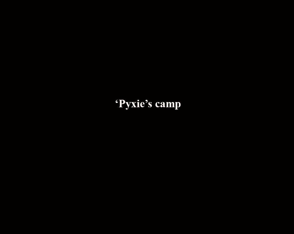 1pyxiecamp_comment