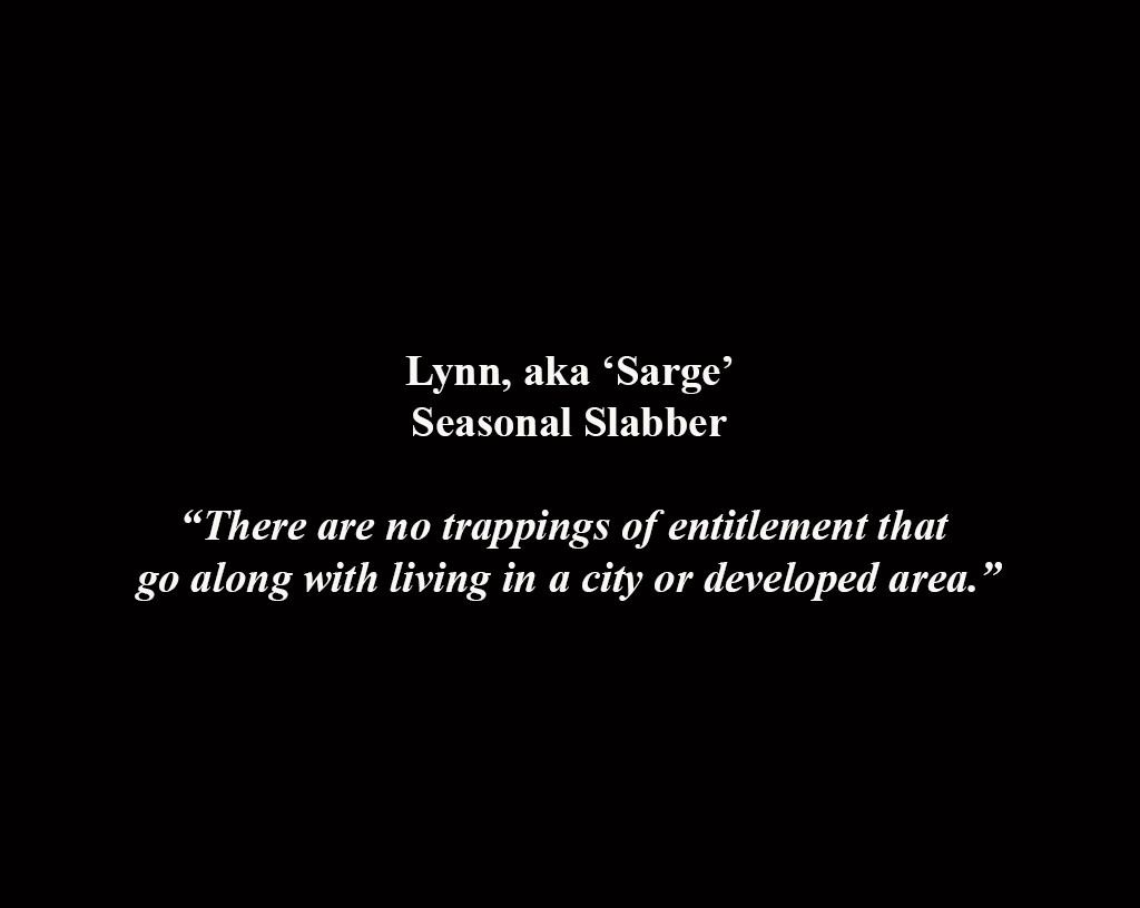 1lynncomment_copyright__2015bobzahn