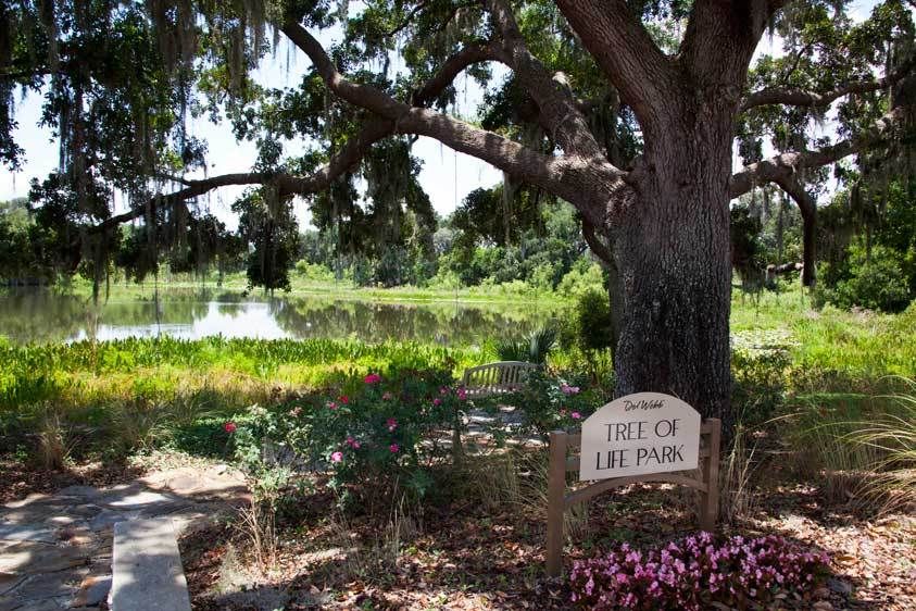 Del Webb, Montecito, Orlando