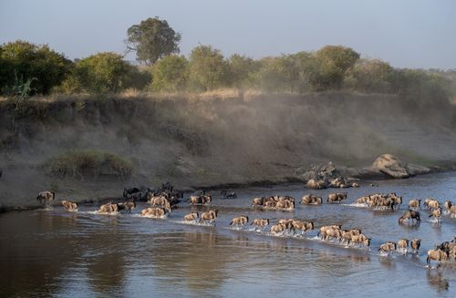 Tanzanis Serengeti Photo Safari Tanzanis Serengeti Photo Safari