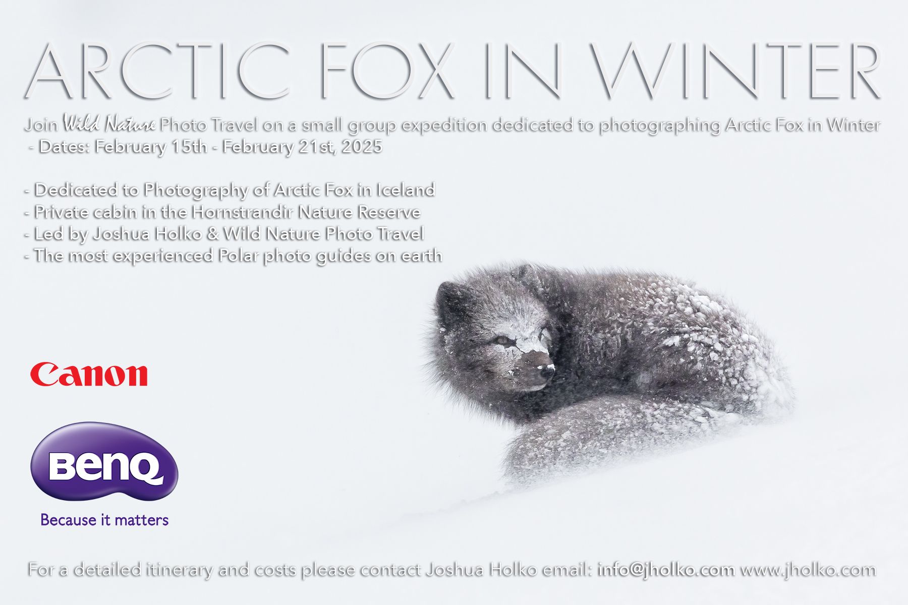 Arctic Fox Winter workshop with Joshua Holko