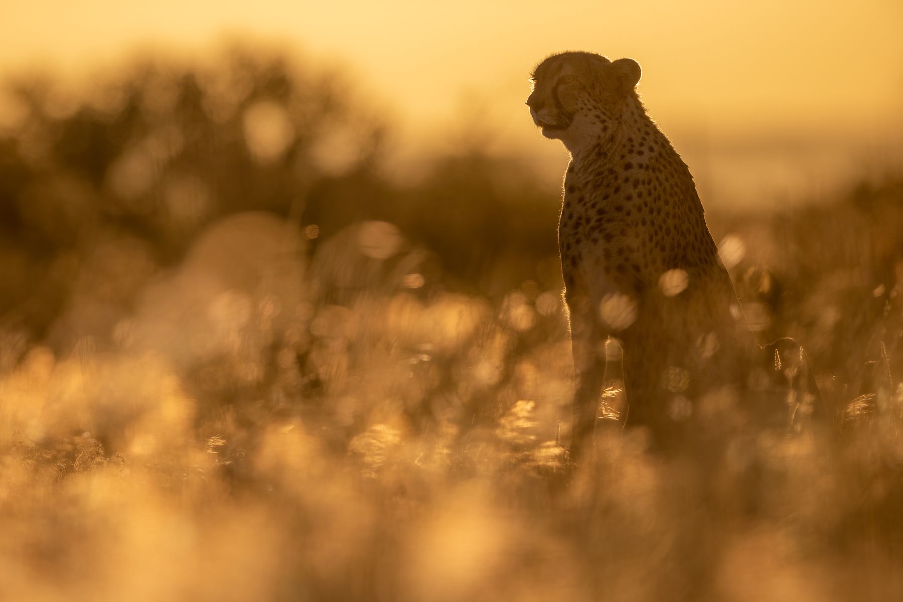 Africa Namibia Photography by Joshua Holko