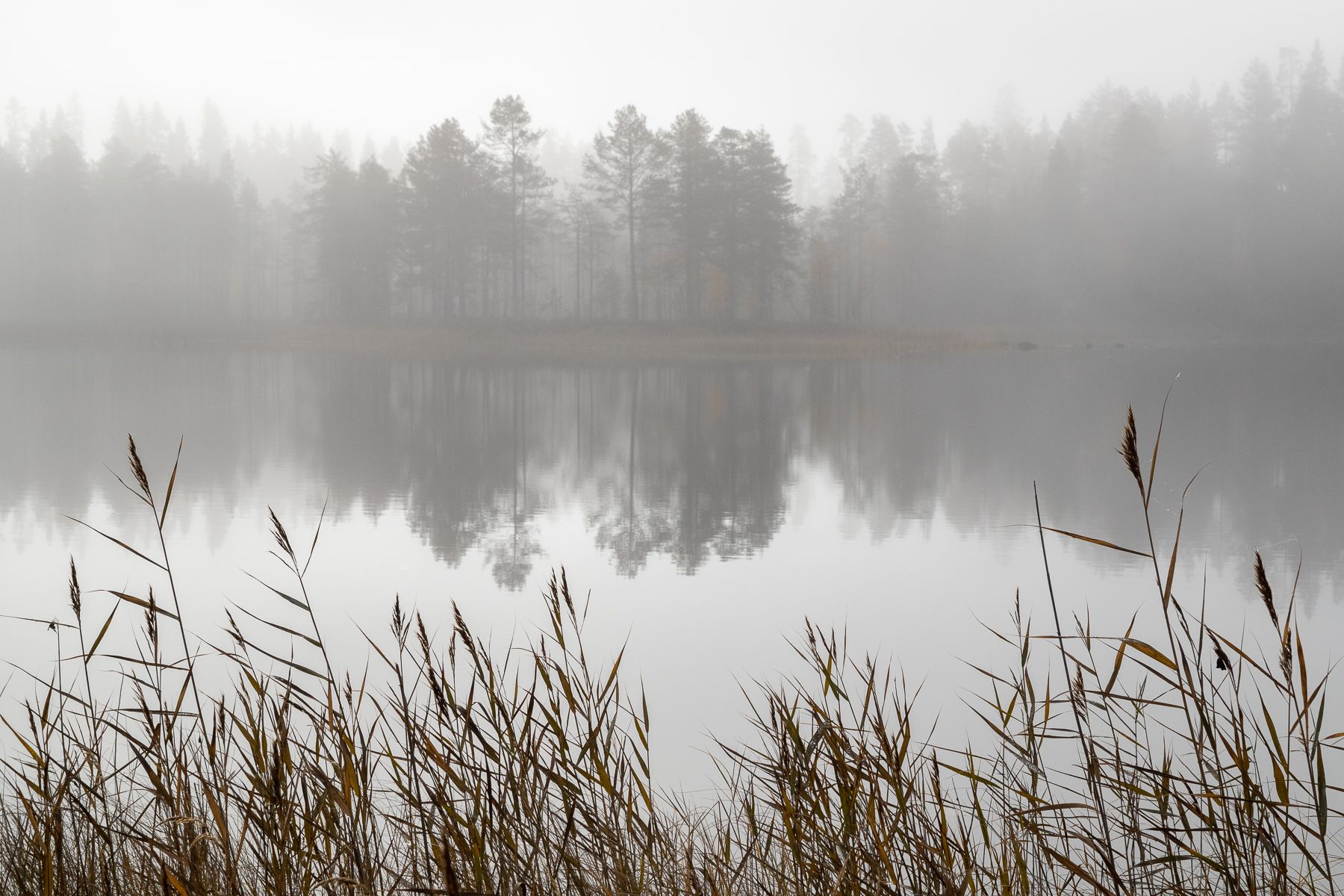 Finland landscape in Autumn 