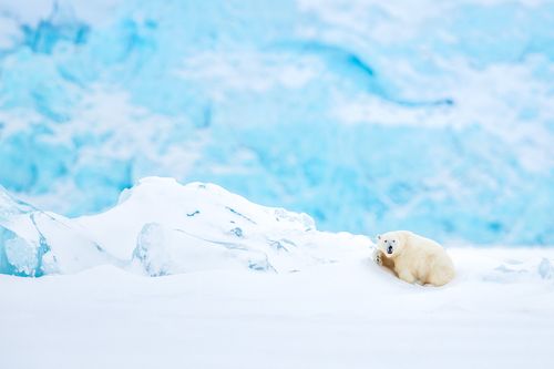 Svalbard Arctic Photography by Joshua Holko Svalbard-26.jpg