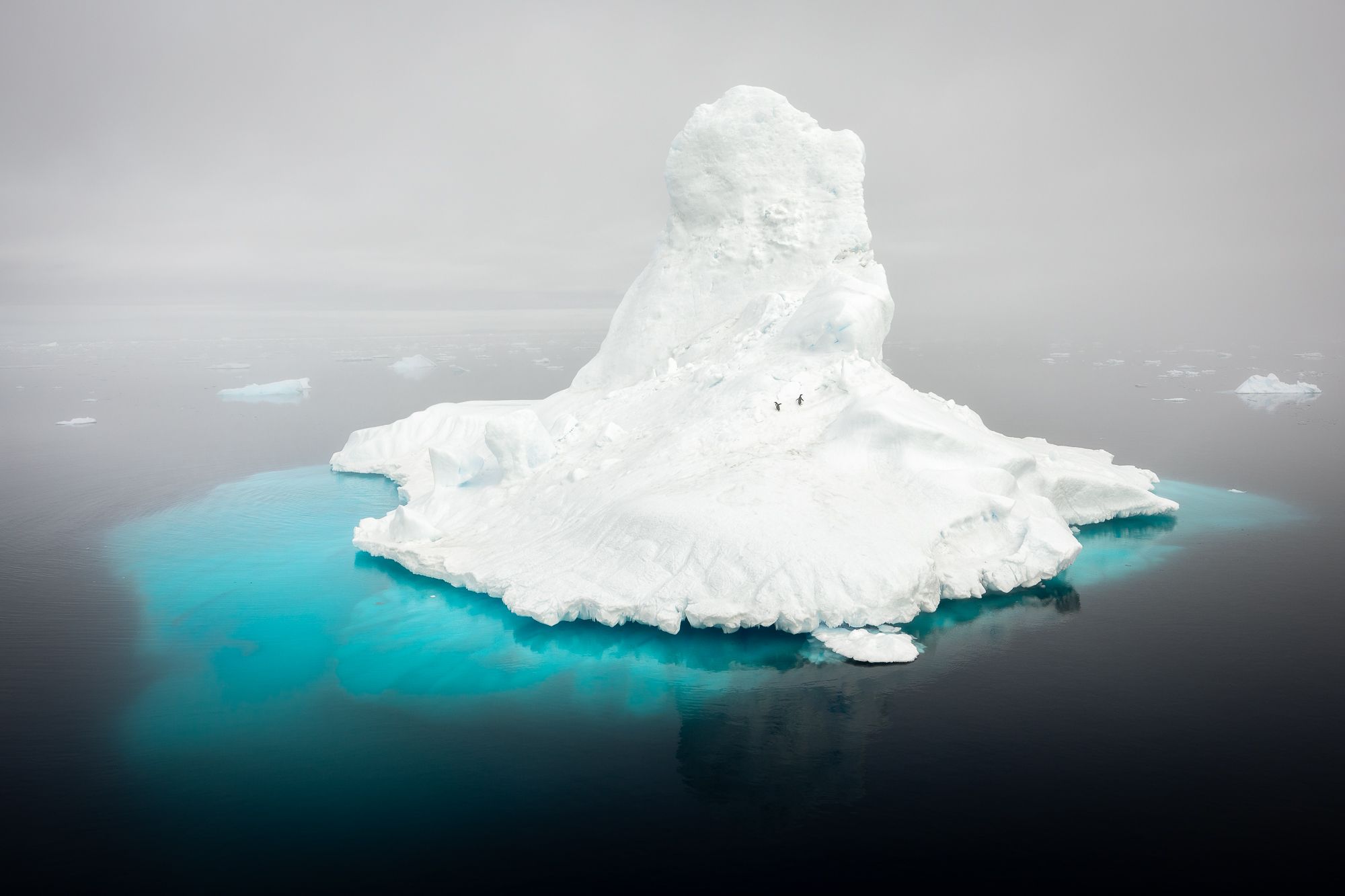 Giant Iceberg and Penguins Antarctica