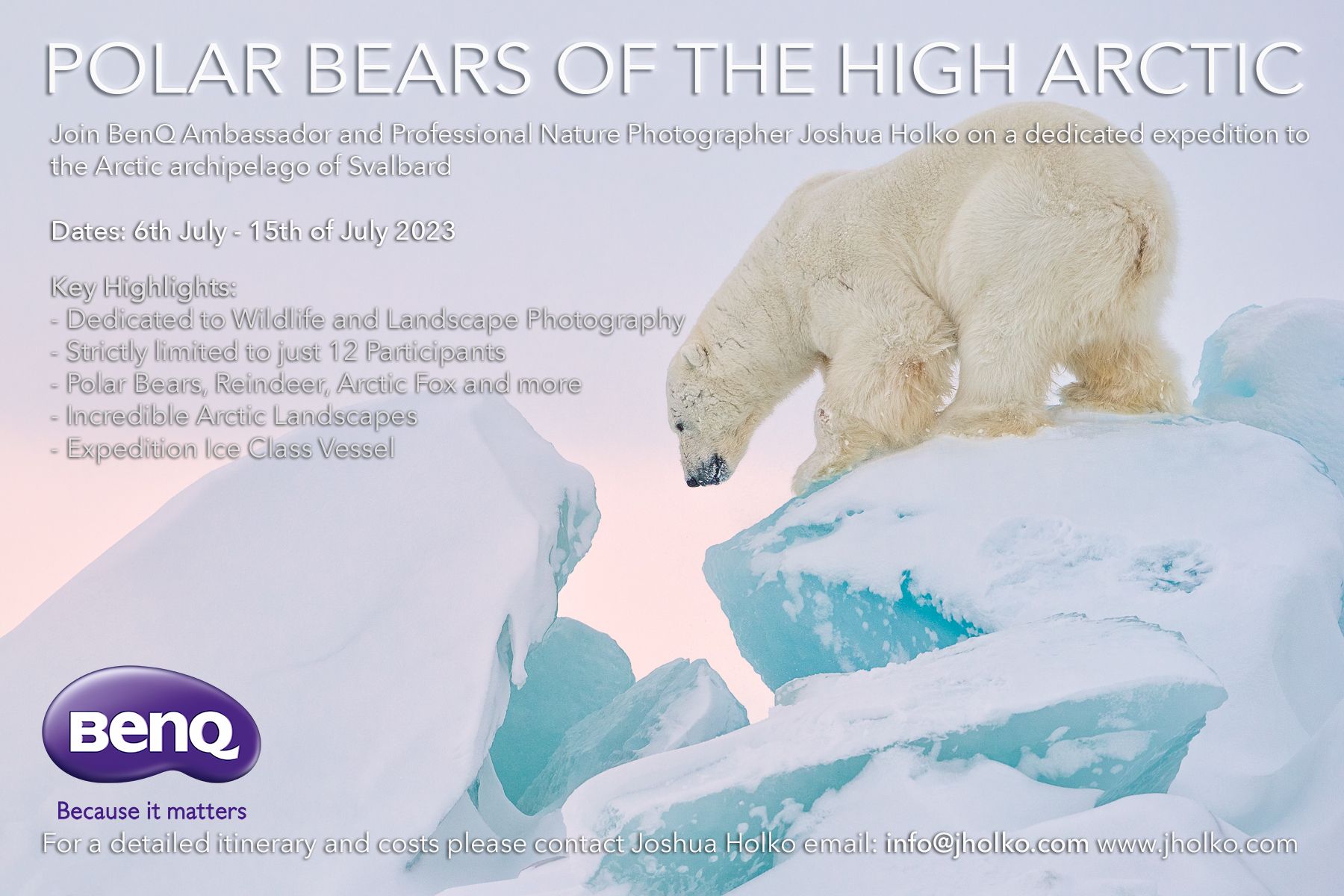 Polar Bears of Svalbard
