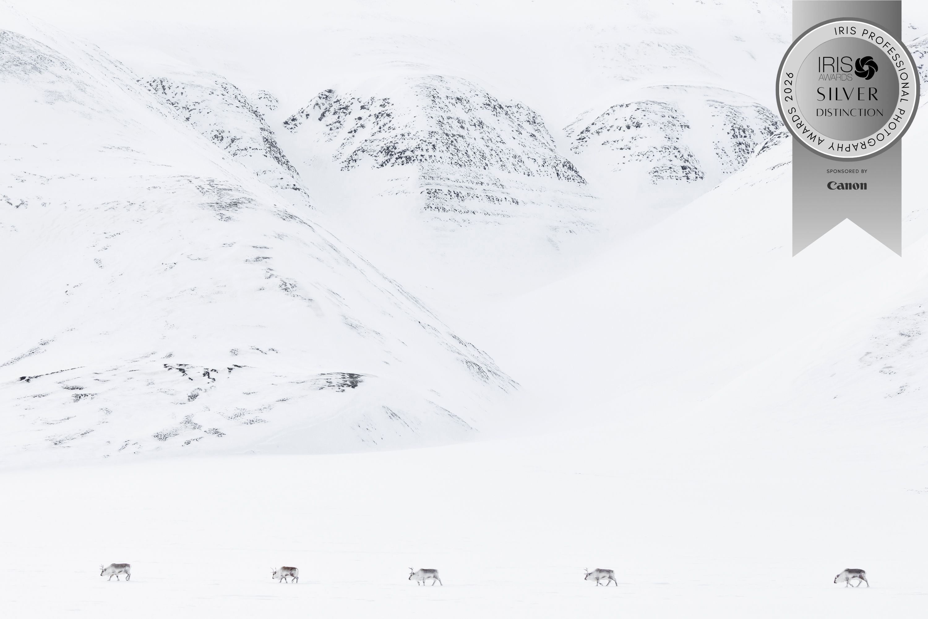 IRIS Photography Awards Joshua Holko 