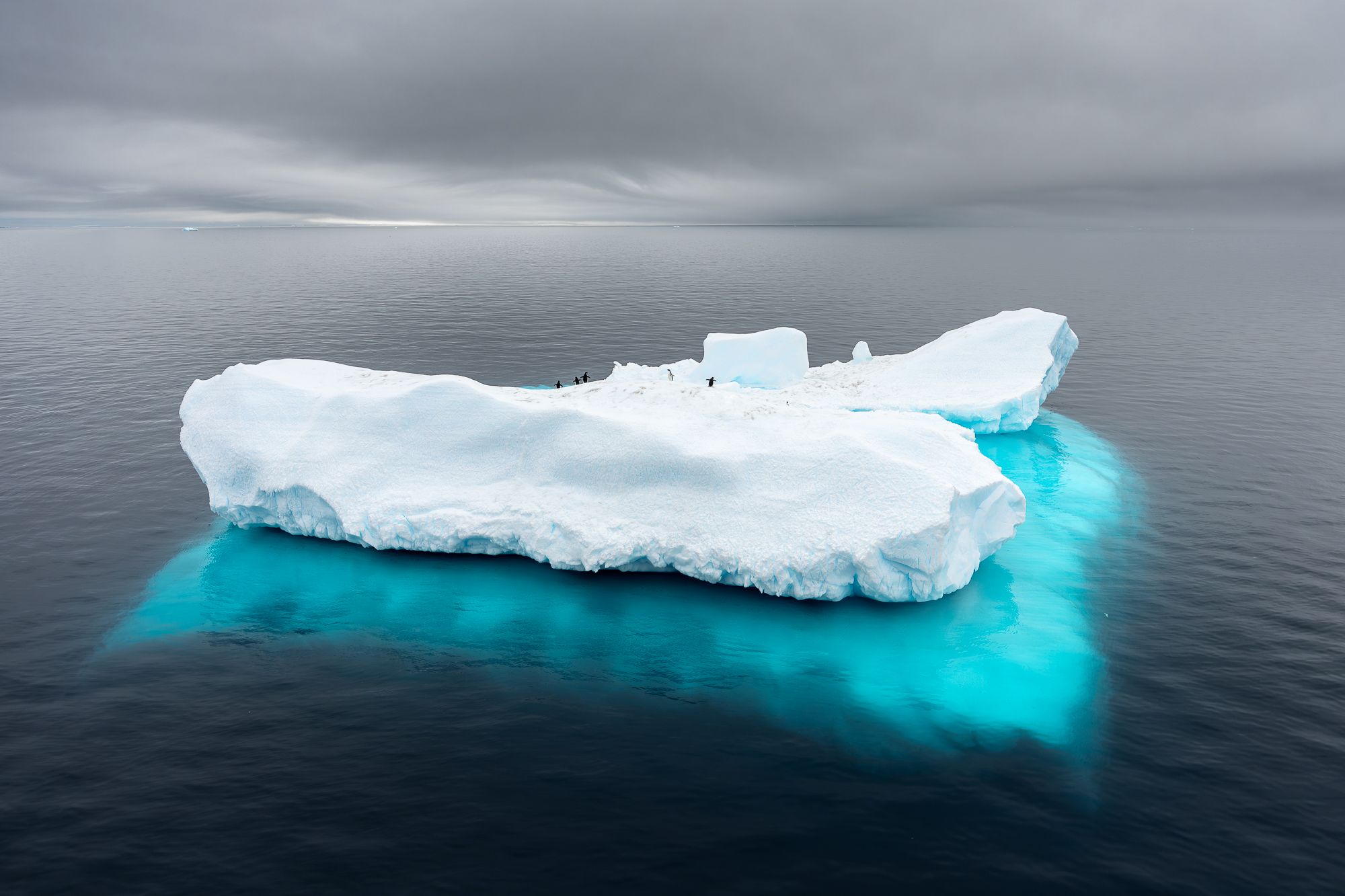 Iceberg and Penguins Antarctica