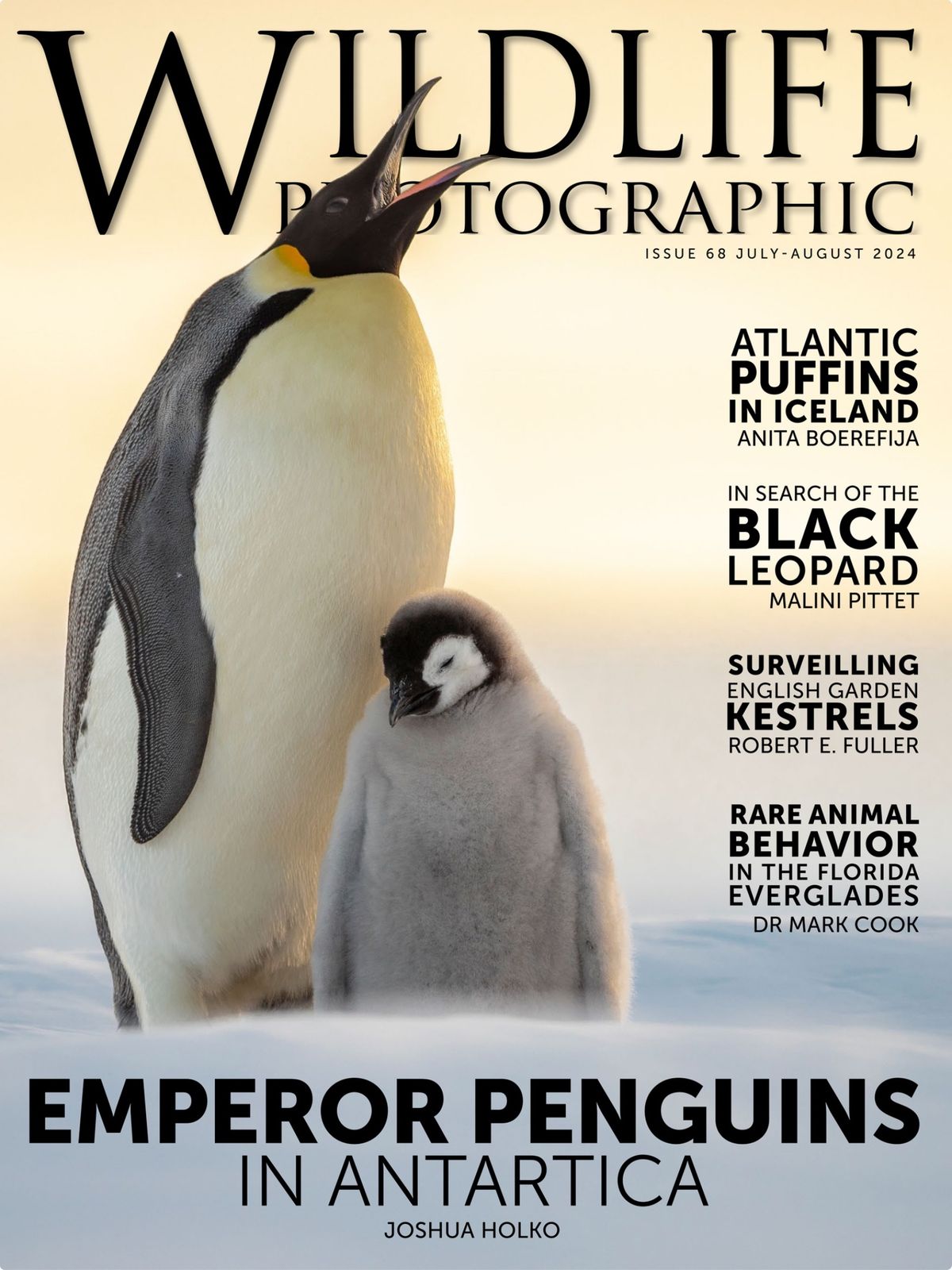Emperor Penguin Cover Shot Wildlife Photographic 2024