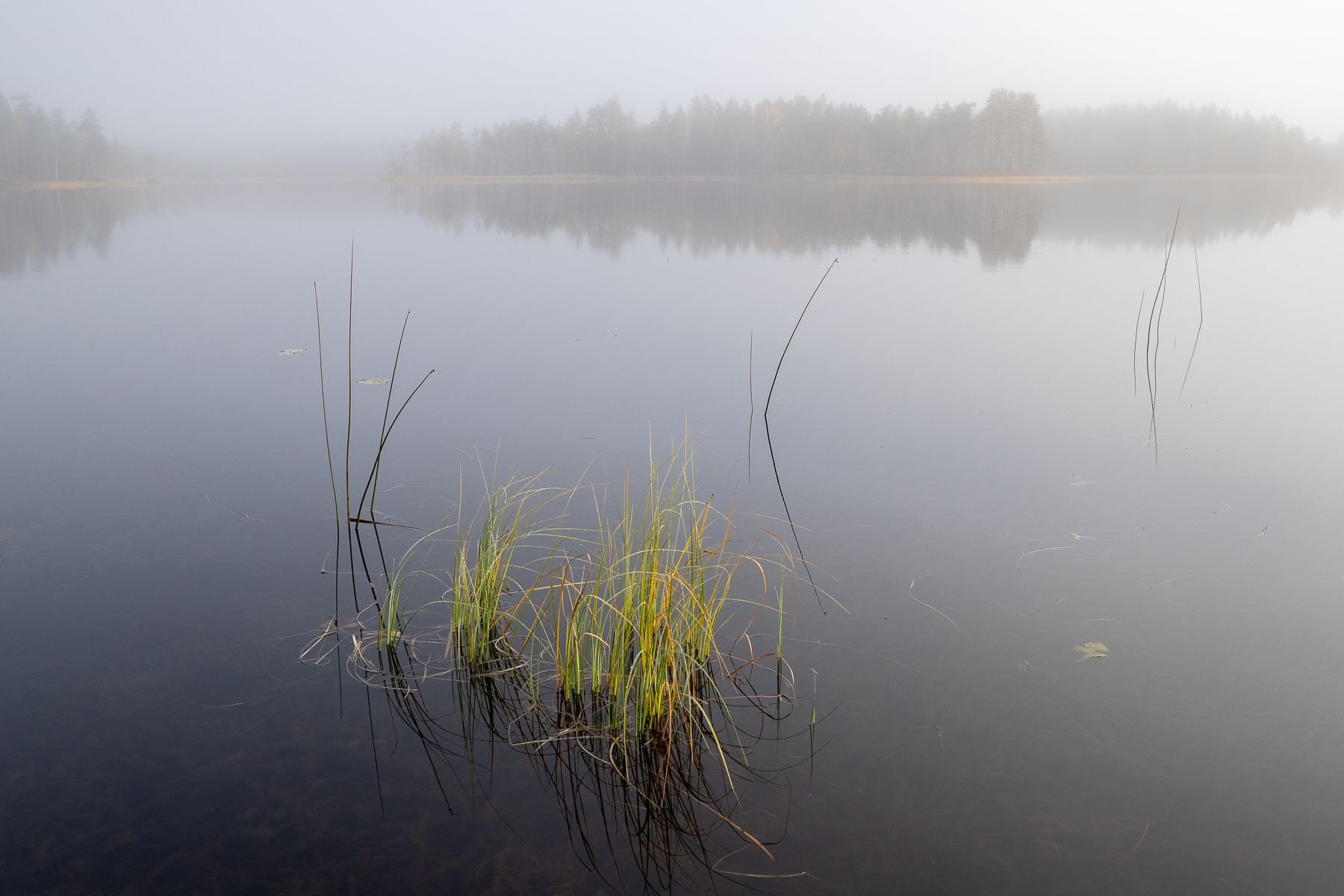 Finland landscape in Autumn