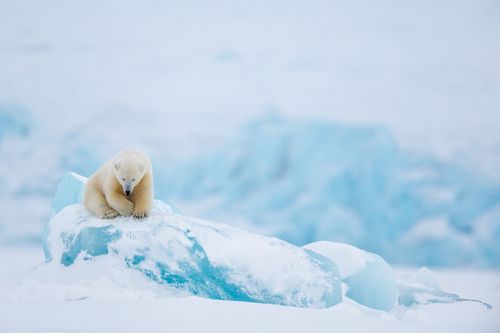 Svalbard Arctic Photography by Joshua Holko Svalbard-28.jpg
