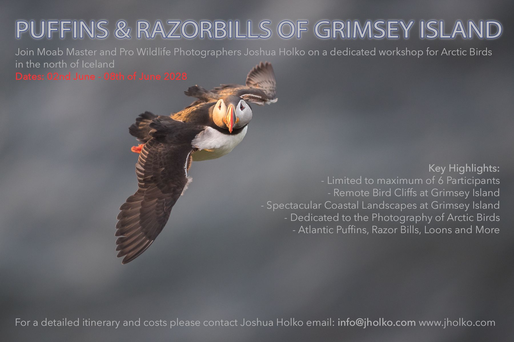 Puffin Workshop 