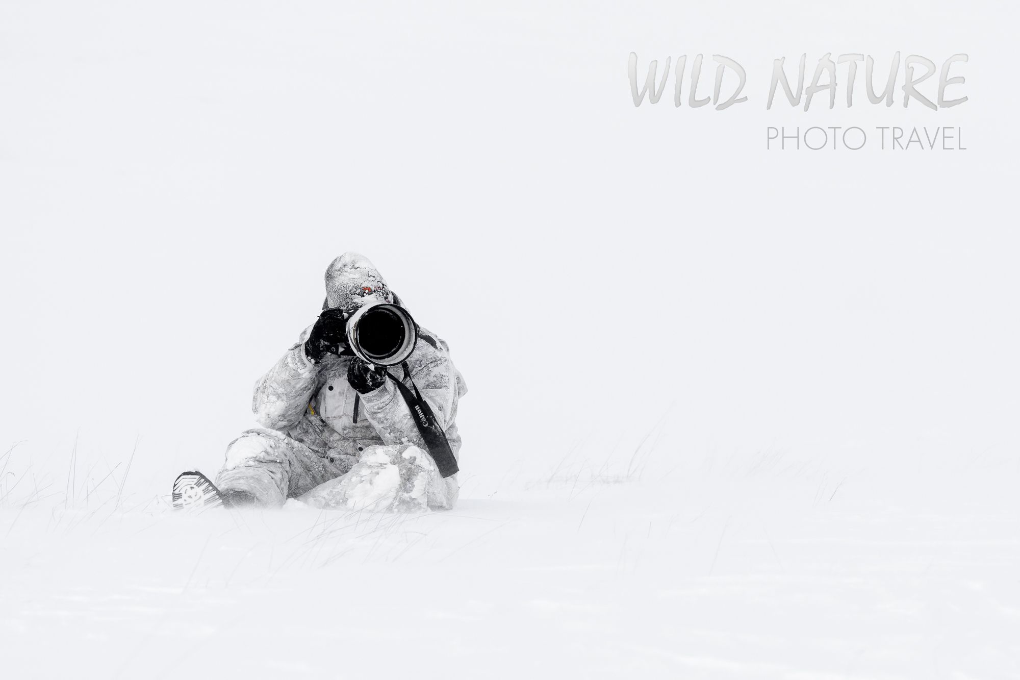 Wild Nature Photo Travel Welcome Page