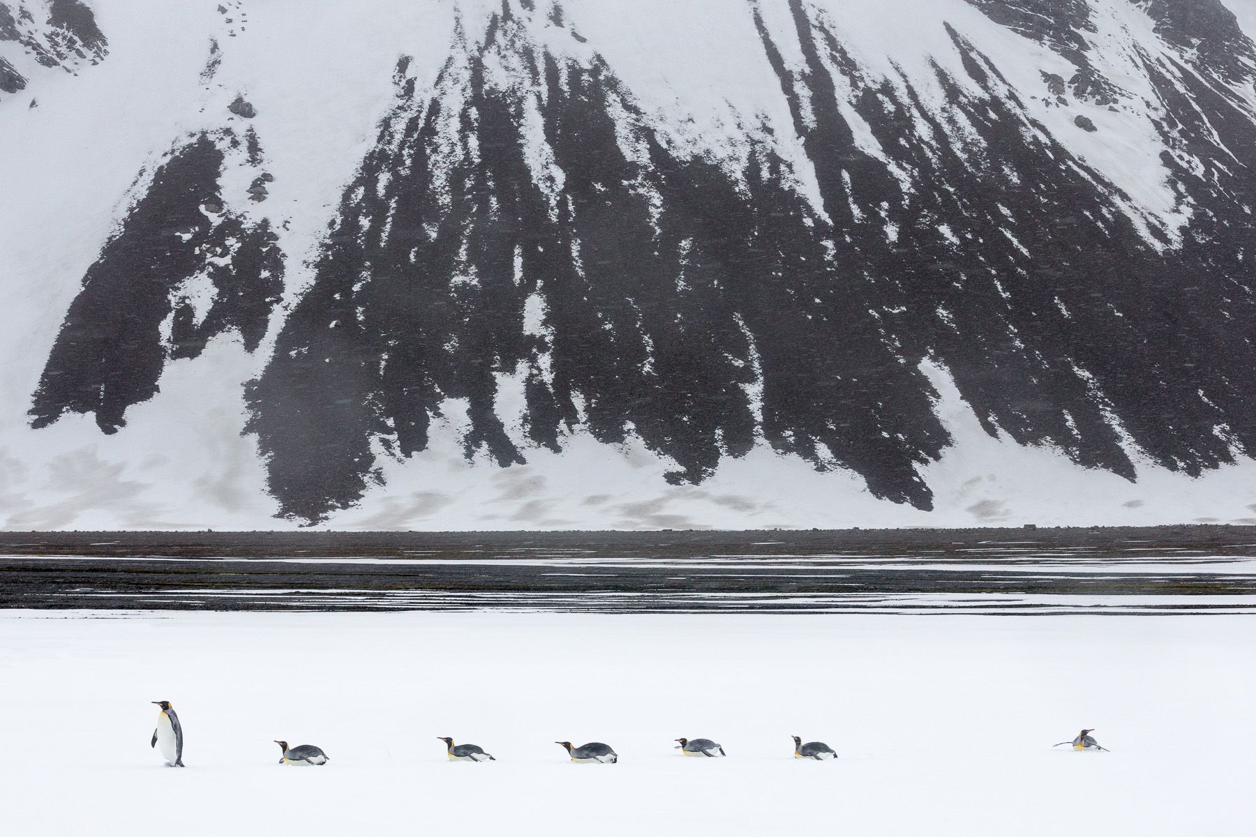 Click for More Information